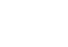 Wydnex